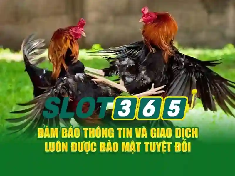 link dự phòng Slot365 – Giải pháp an toàn cho cược trực tuyến Go88