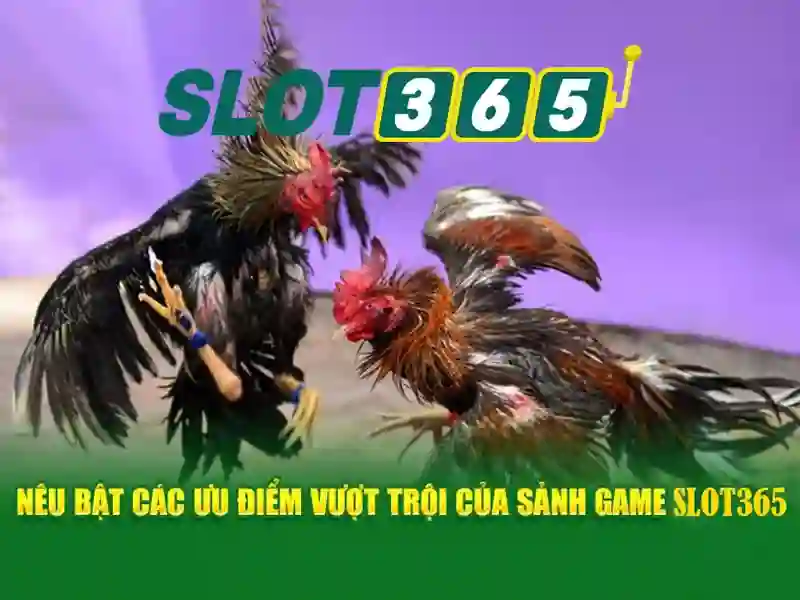 Nguồn gốc và sứ mệnh Slot365