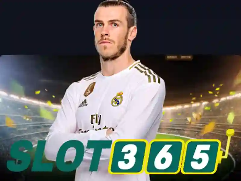 Trải nghiệm người dùng và phản hồi cộng đồng